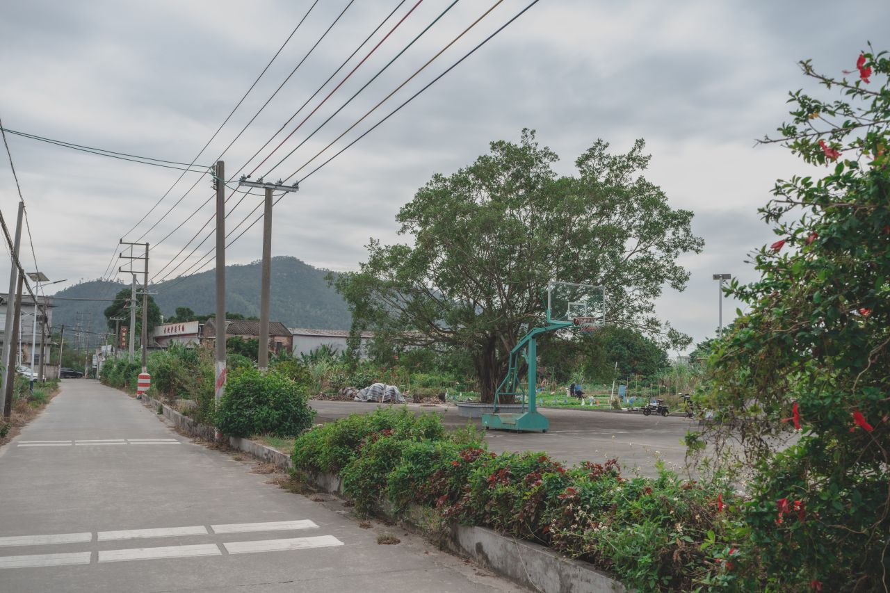 赤坎，欢迎您 赤坎，欢迎您