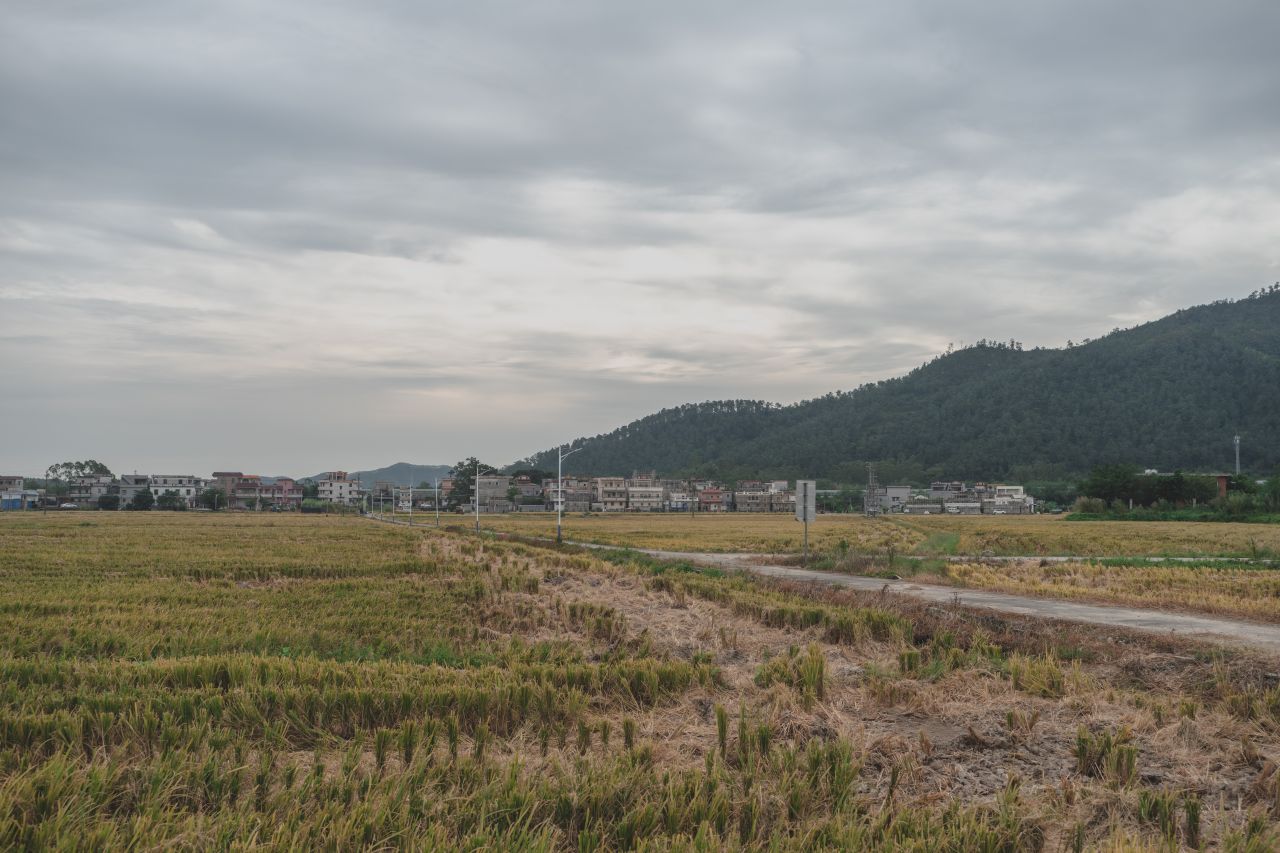 赤坎，欢迎您 赤坎，欢迎您