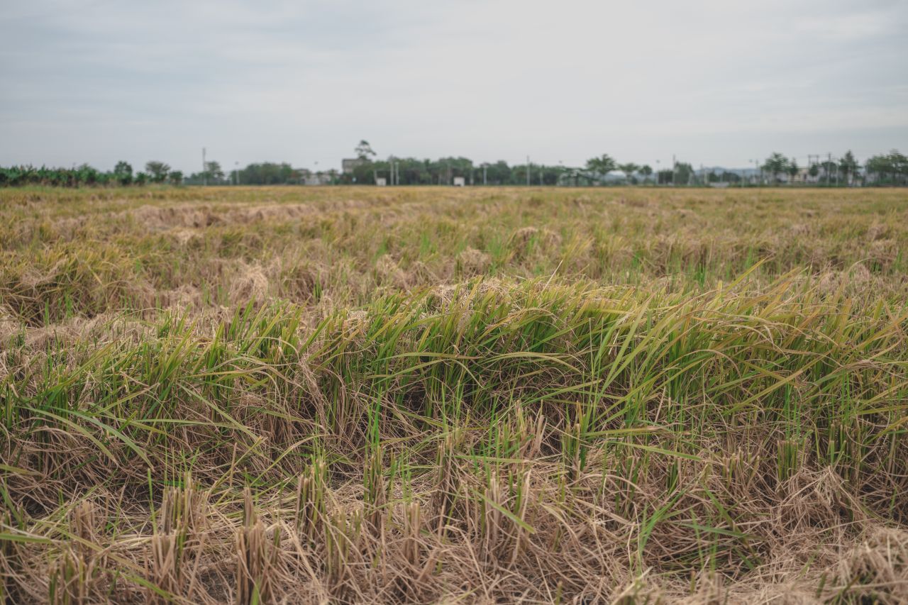 赤坎，欢迎您 赤坎，欢迎您