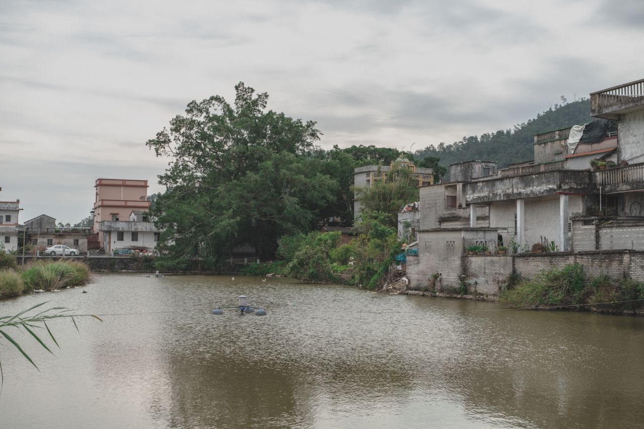 赤坎，欢迎您 赤坎，欢迎您