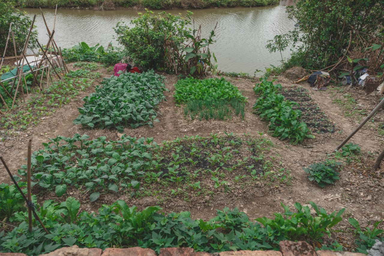赤坎，欢迎您 赤坎，欢迎您