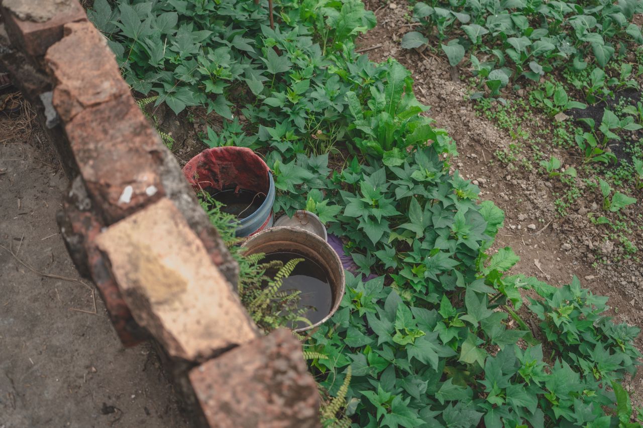 赤坎，欢迎您 赤坎，欢迎您