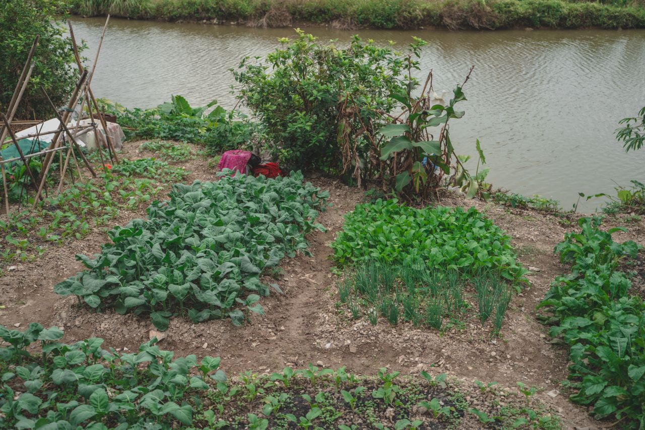 赤坎，欢迎您 赤坎，欢迎您