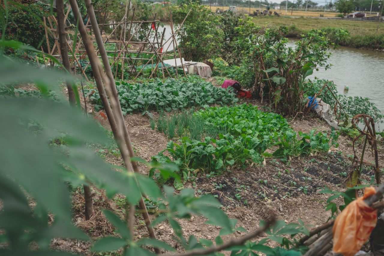 赤坎，欢迎您 赤坎，欢迎您