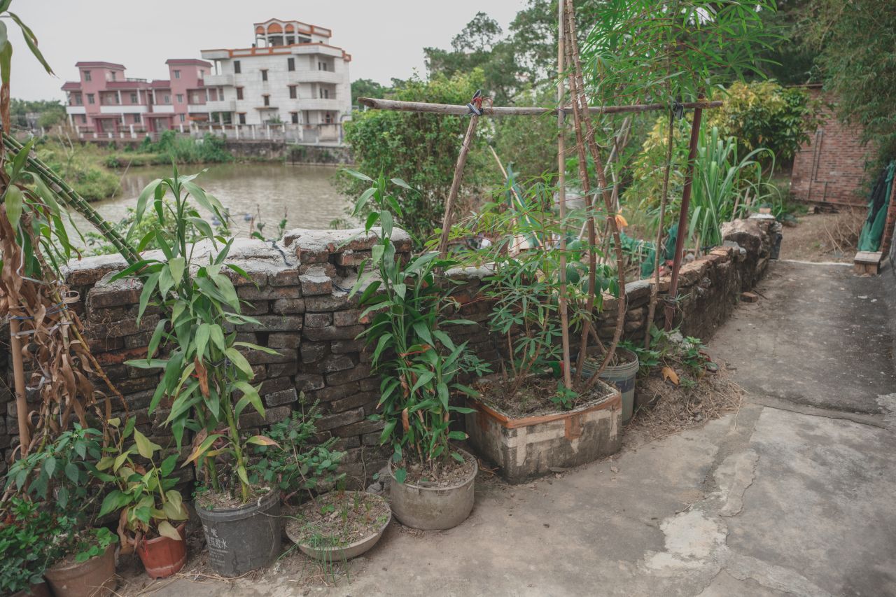 赤坎，欢迎您 赤坎，欢迎您