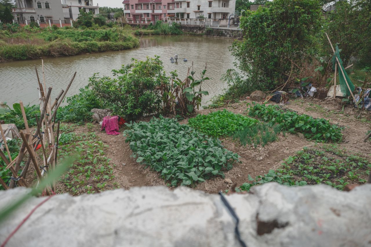 赤坎，欢迎您 赤坎，欢迎您