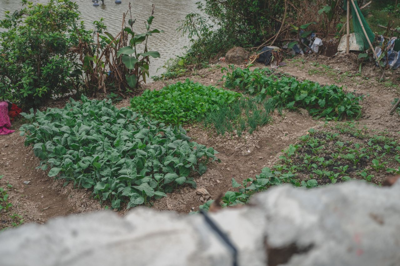 赤坎，欢迎您 赤坎，欢迎您