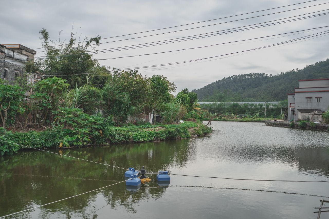 赤坎，欢迎您 赤坎，欢迎您