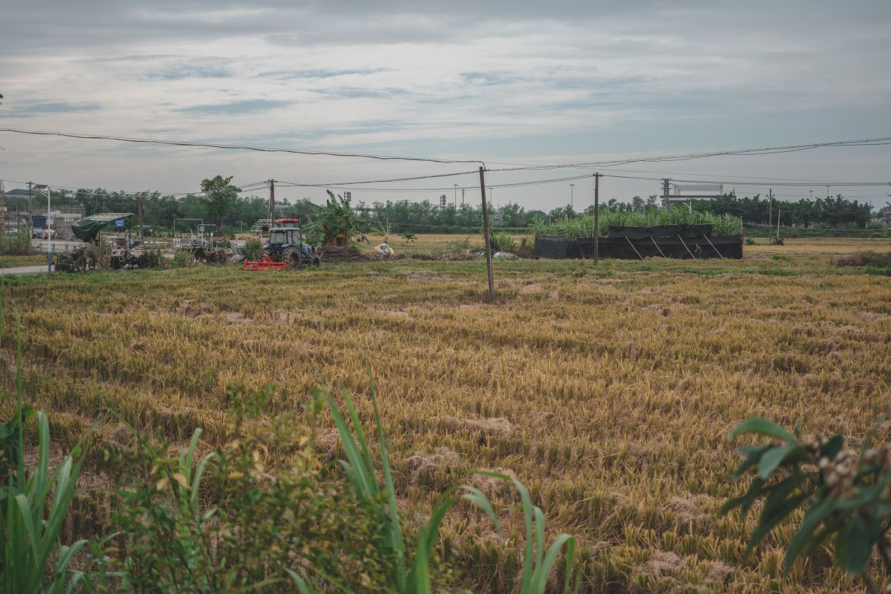 赤坎，欢迎您 赤坎，欢迎您