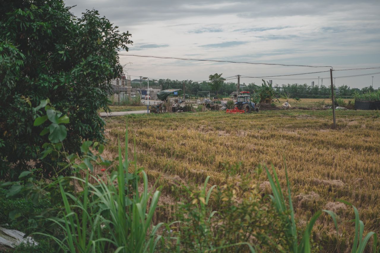 赤坎，欢迎您 赤坎，欢迎您