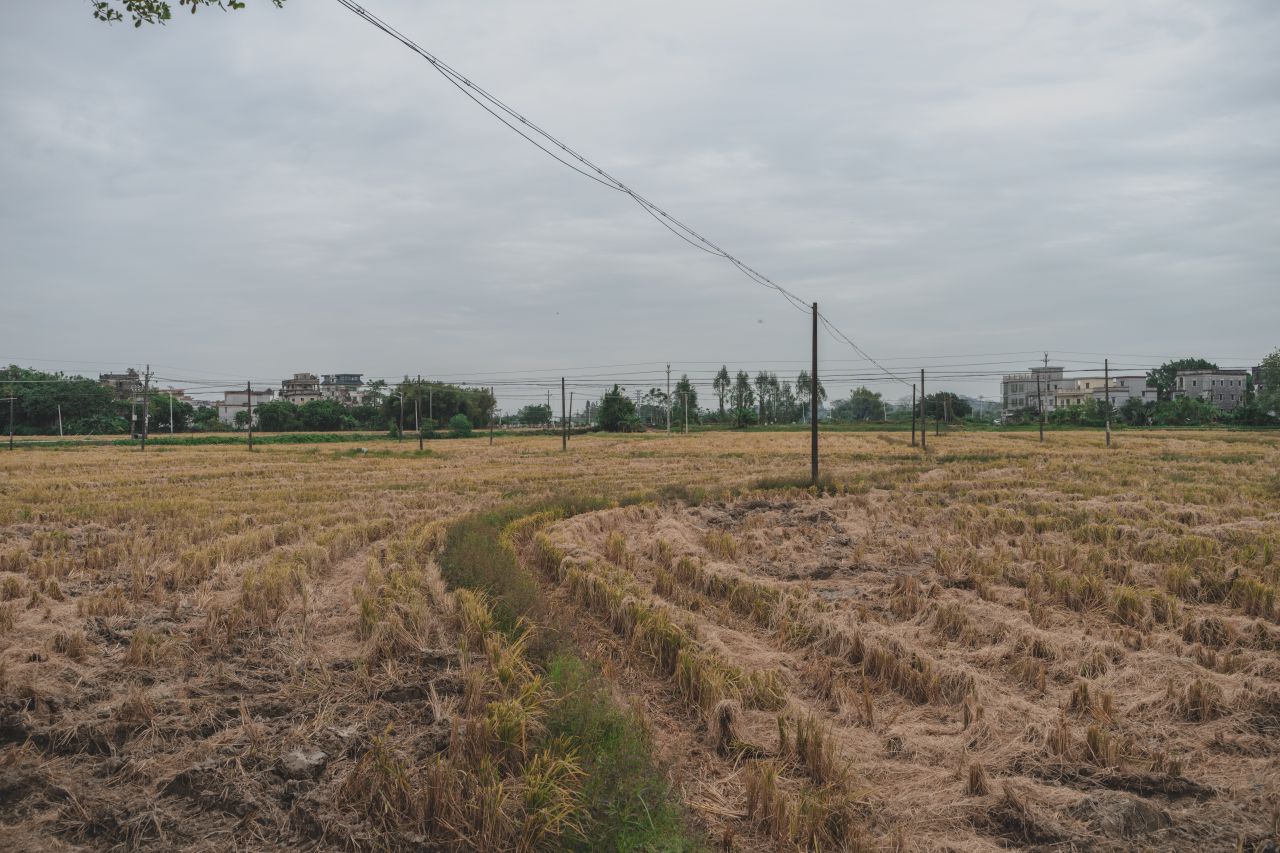 赤坎，欢迎您 赤坎，欢迎您