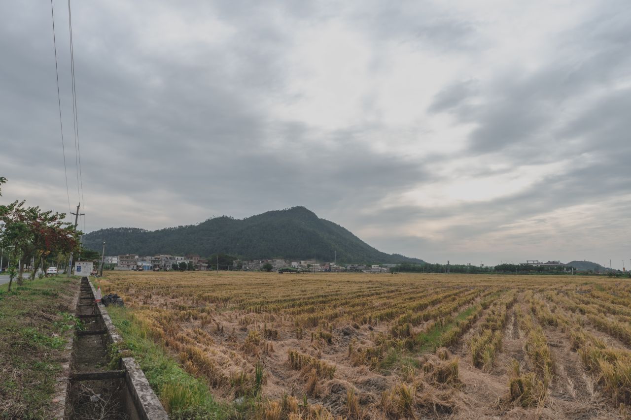 赤坎，欢迎您 赤坎，欢迎您