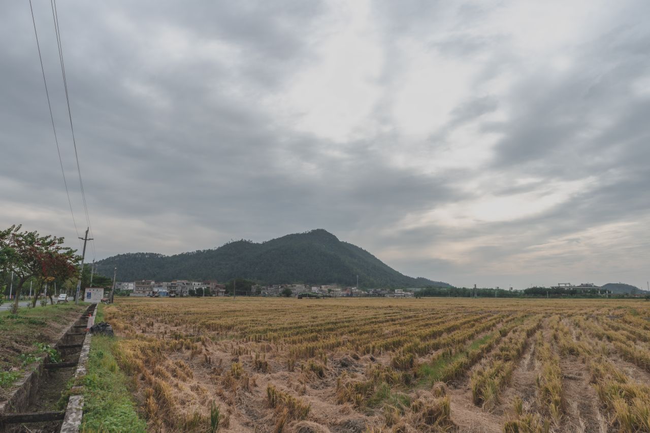 赤坎，欢迎您 赤坎，欢迎您