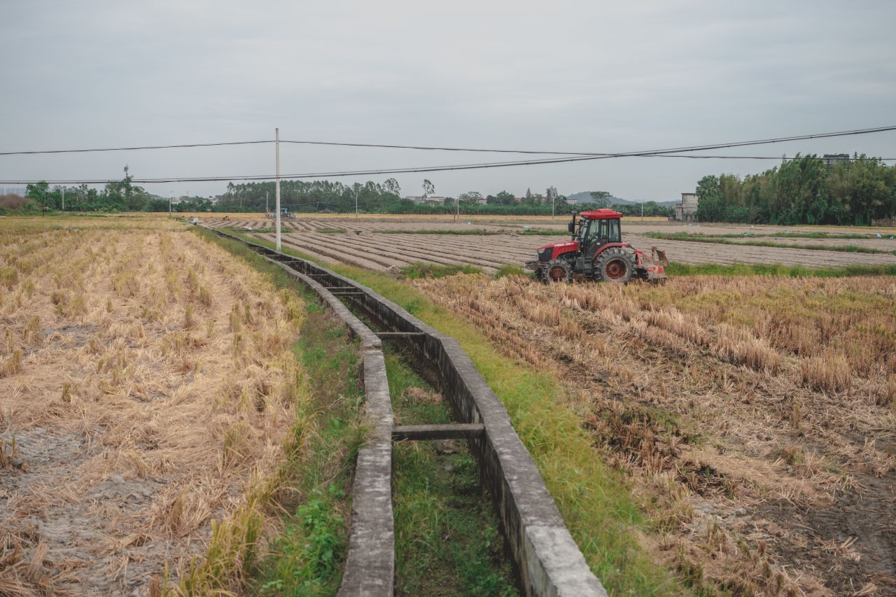 赤坎，欢迎您 - 赤坎 - 无 - 赤坎，欢迎您