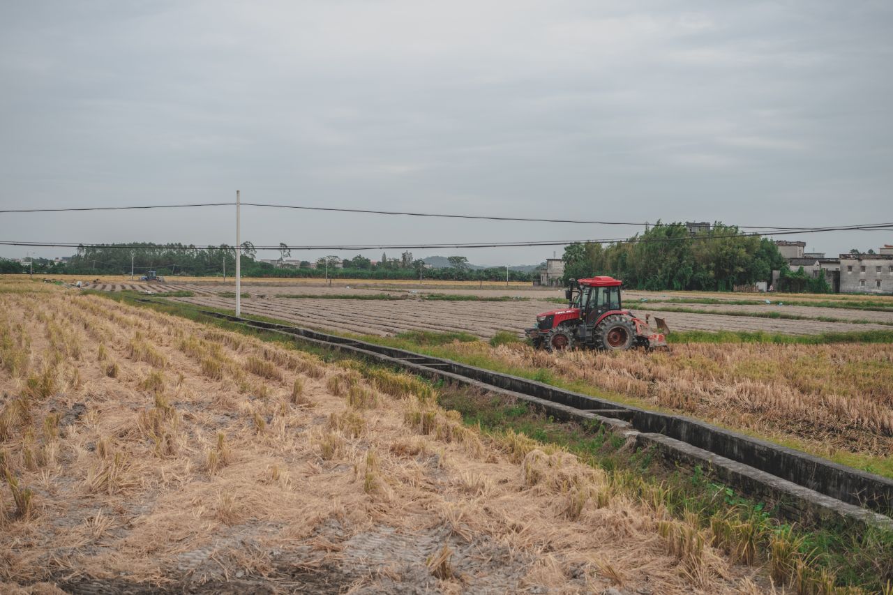 赤坎，欢迎您 赤坎，欢迎您
