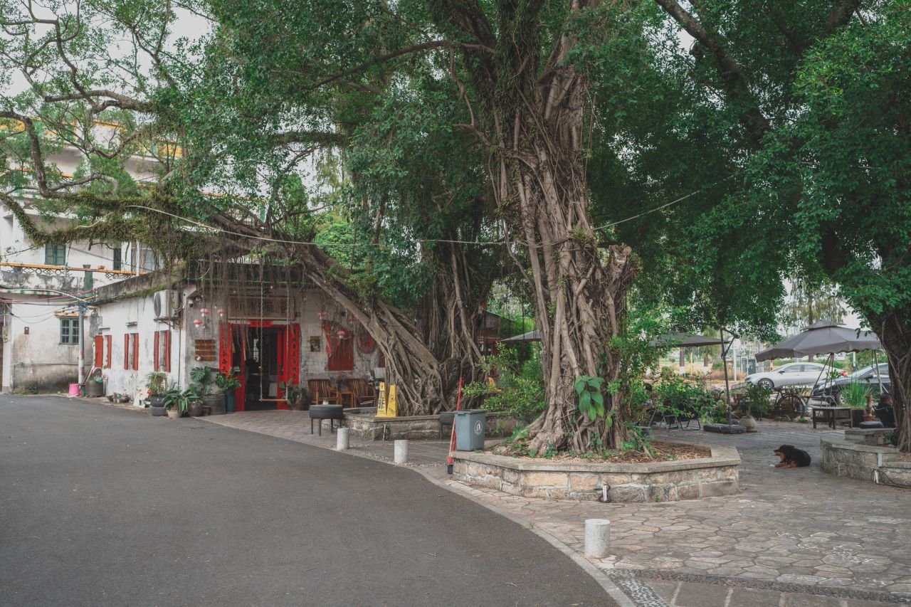 赤坎，欢迎您 赤坎，欢迎您