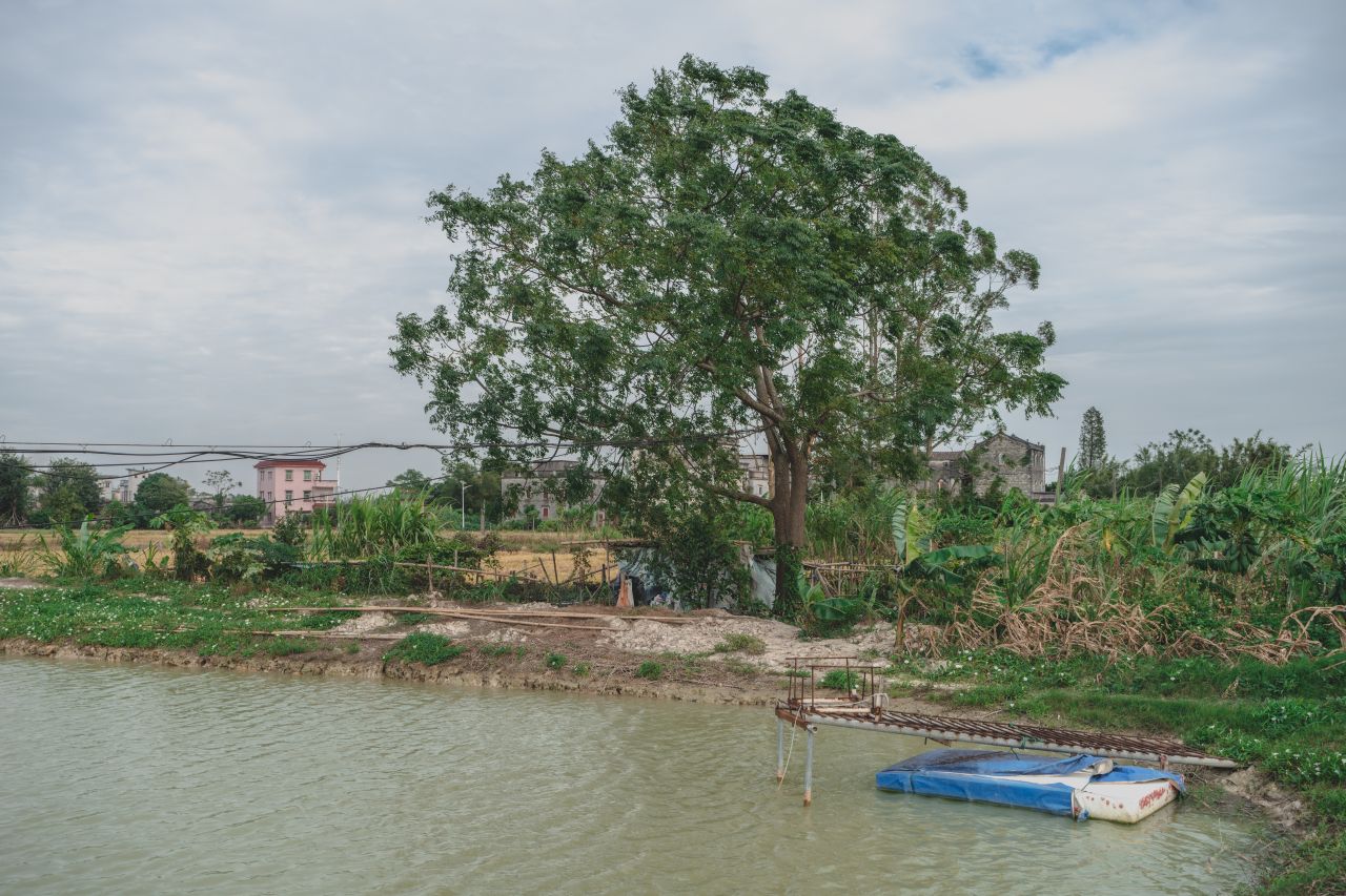 赤坎，欢迎您 赤坎，欢迎您
