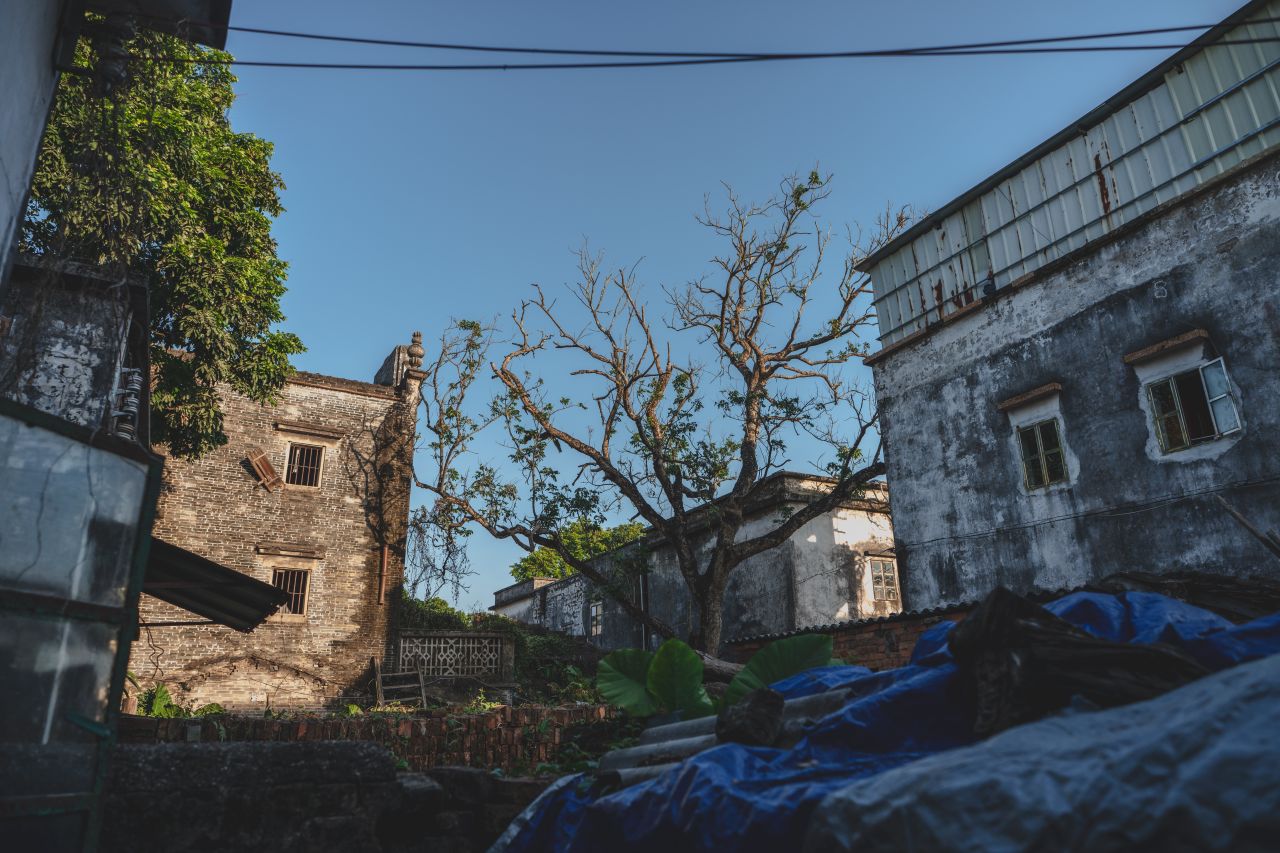 这些年，被遗忘的茅冈村