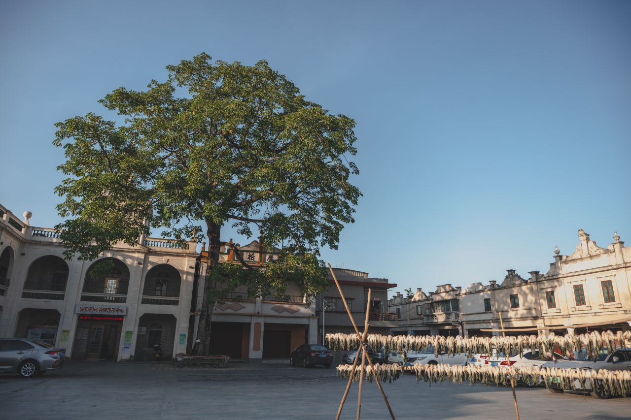 这些年，被遗忘的茅冈村 这些年，被遗忘的茅冈村