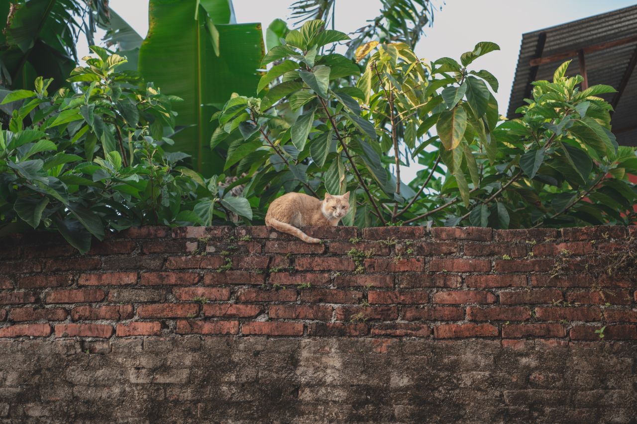 这些年，被遗忘的茅冈村 这些年，被遗忘的茅冈村