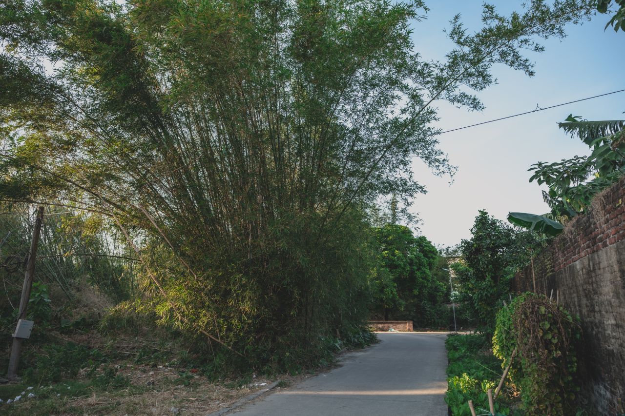 这些年，被遗忘的茅冈村 这些年，被遗忘的茅冈村
