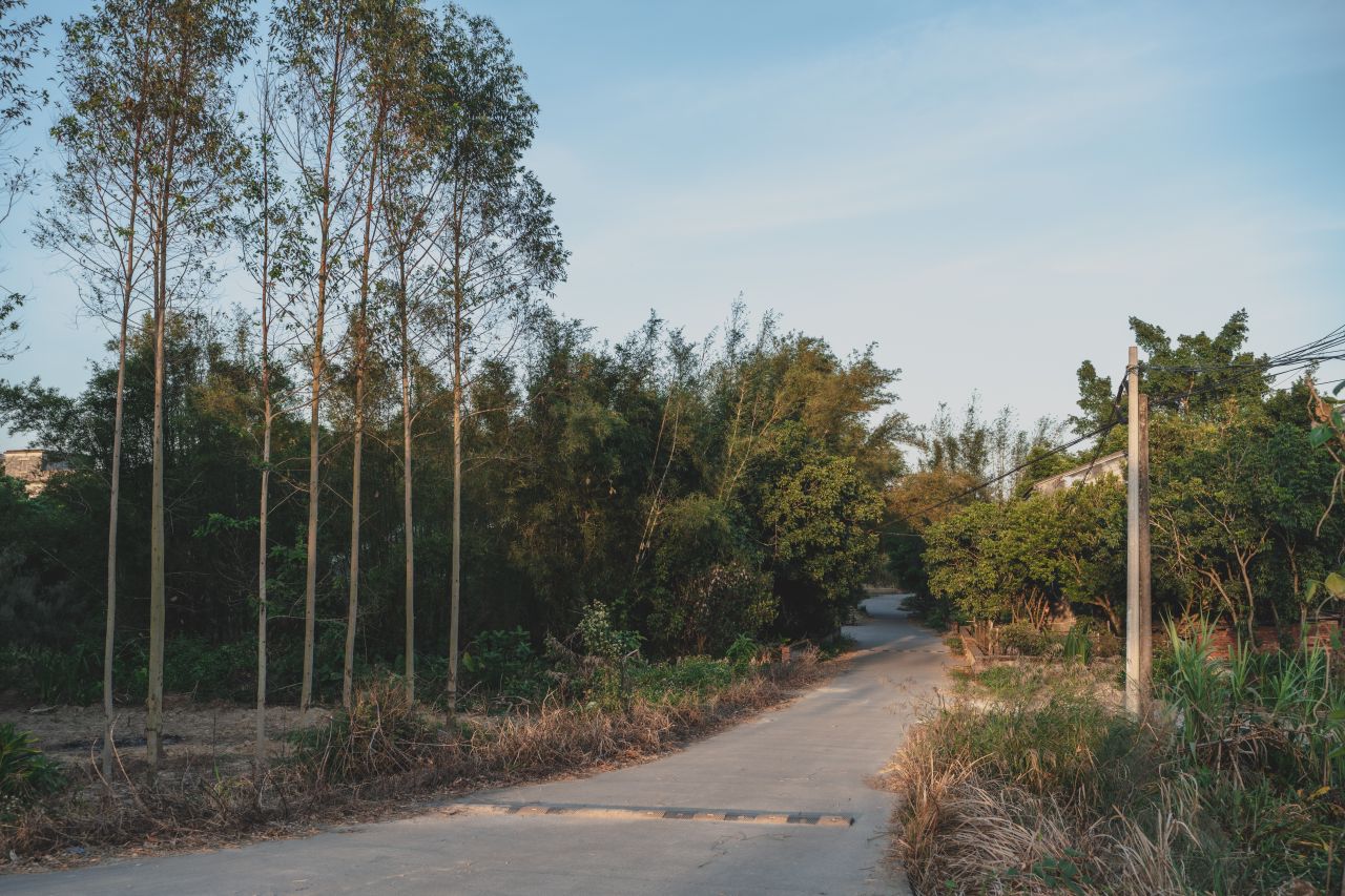 这些年，被遗忘的茅冈村 这些年，被遗忘的茅冈村
