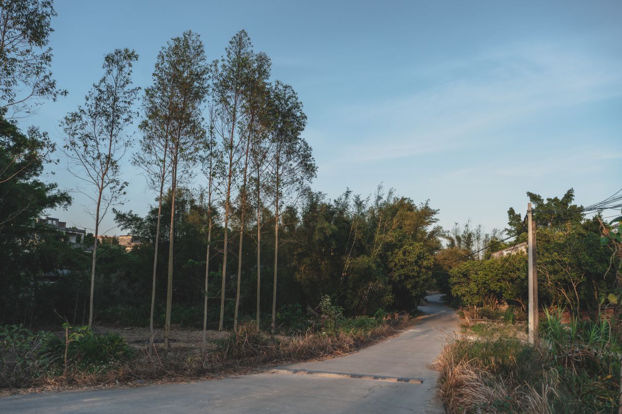 这些年，被遗忘的茅冈村 这些年，被遗忘的茅冈村