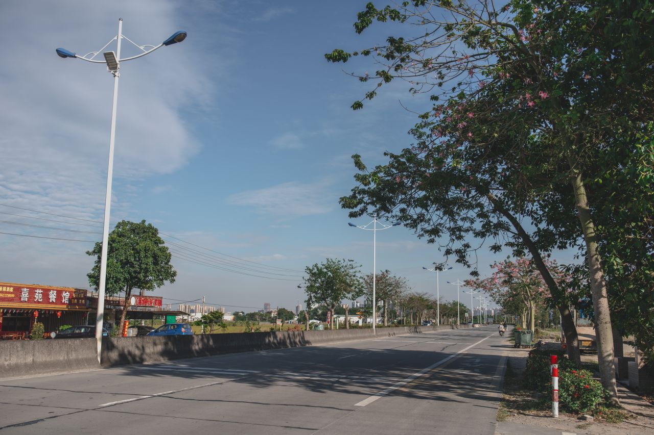 突如其来的楼冈七中 突如其来的楼冈七中