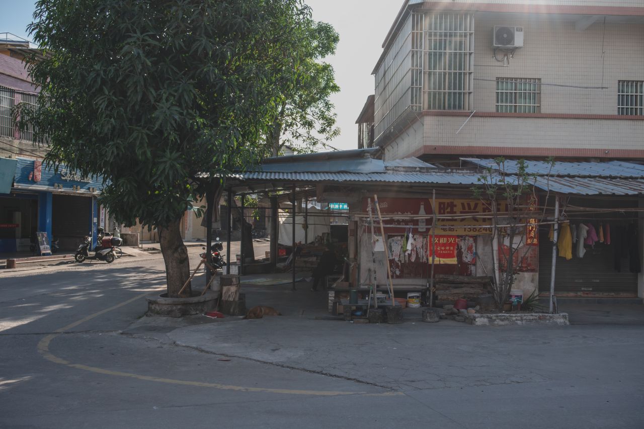 突如其来的楼冈七中 突如其来的楼冈七中