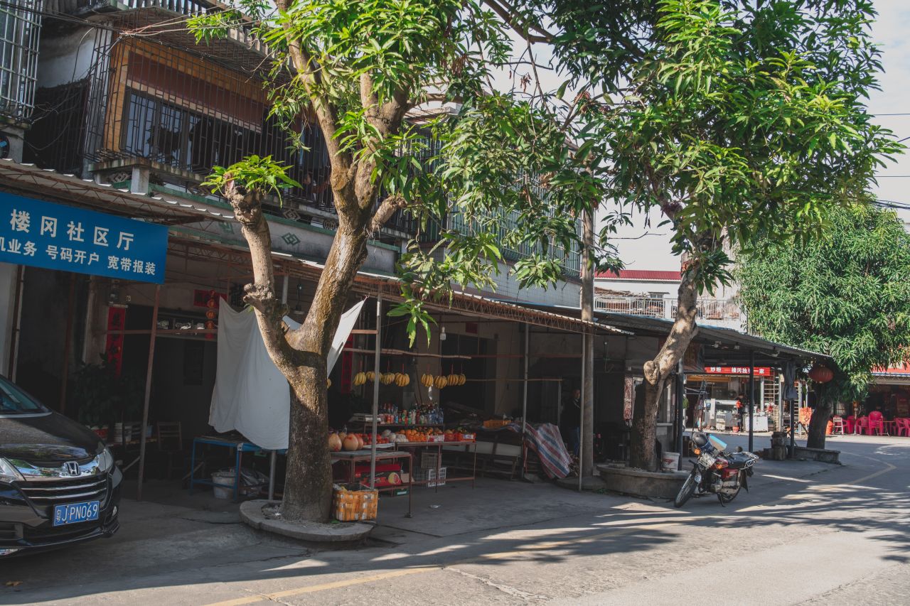 突如其来的楼冈七中 突如其来的楼冈七中