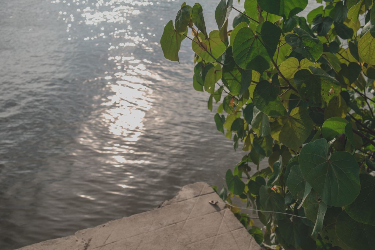 突如其来的楼冈七中 突如其来的楼冈七中