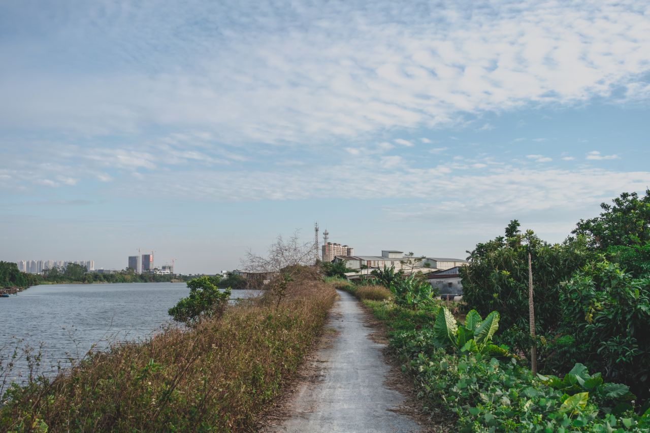 突如其来的楼冈七中 突如其来的楼冈七中