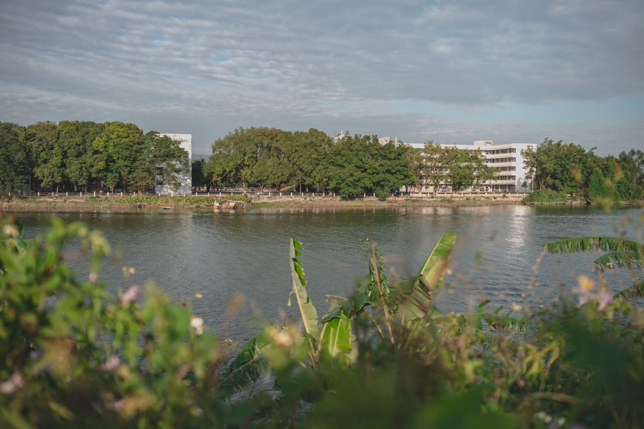 突如其来的楼冈七中 突如其来的楼冈七中