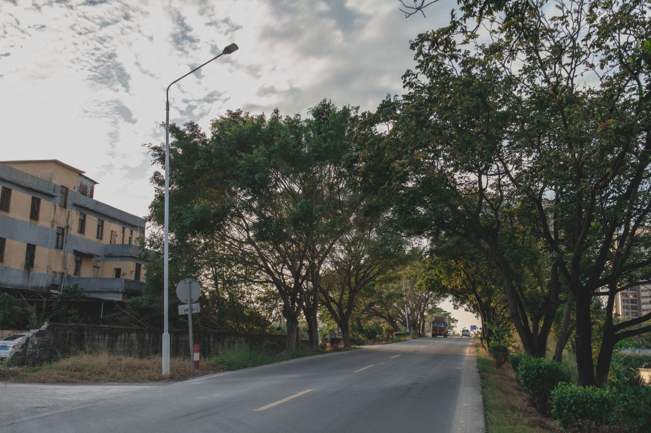 突如其来的楼冈七中 突如其来的楼冈七中