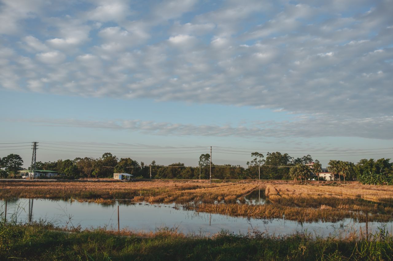 突如其来的楼冈七中 突如其来的楼冈七中