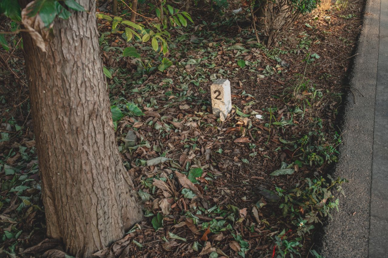 突如其来的楼冈七中 突如其来的楼冈七中