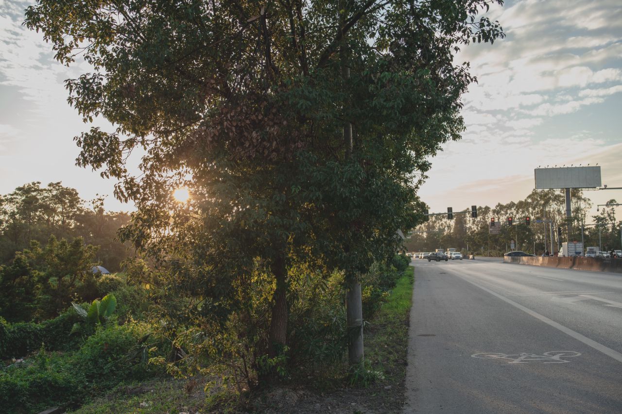突如其来的楼冈七中 突如其来的楼冈七中