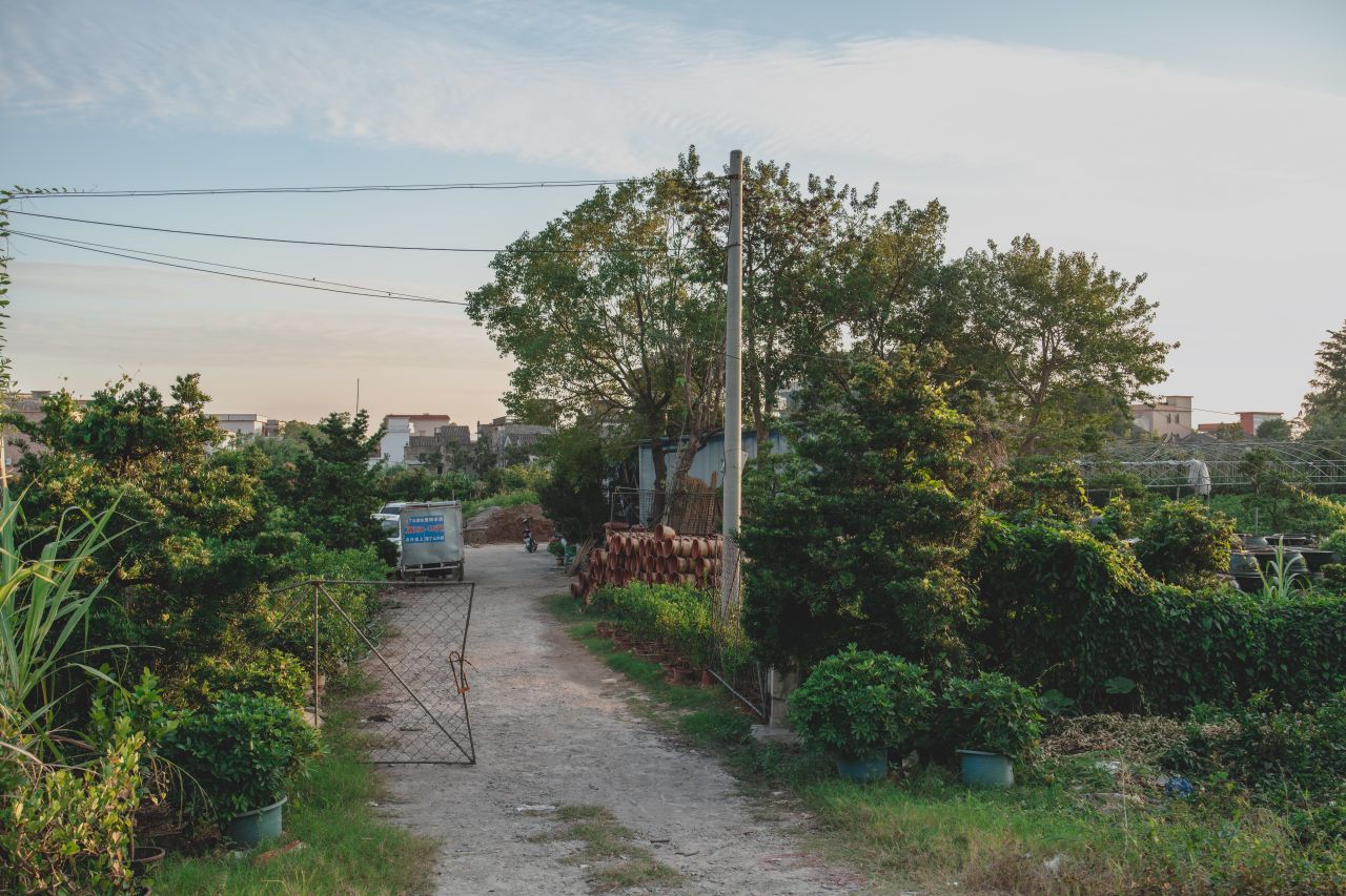 突如其来的楼冈七中 突如其来的楼冈七中