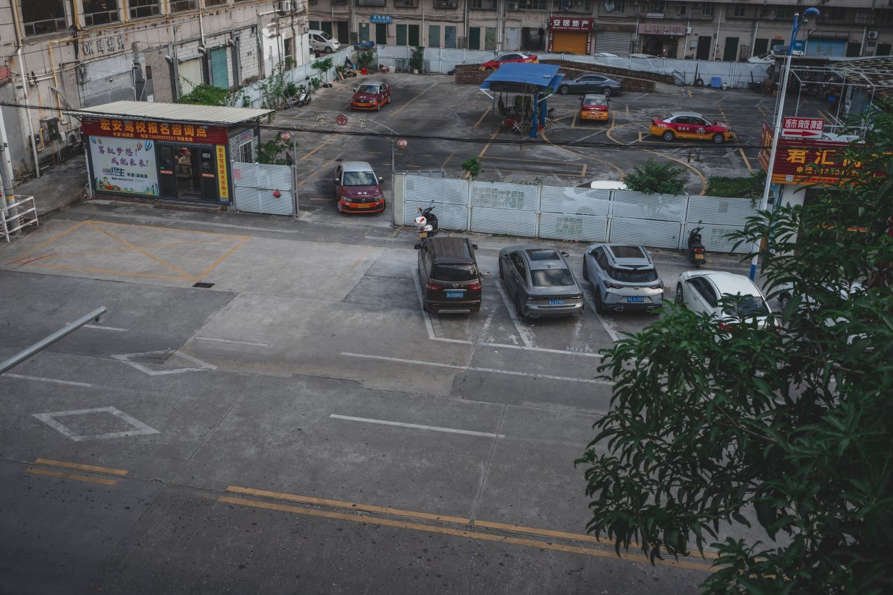 无聊的祥龙一游 无聊的祥龙一游