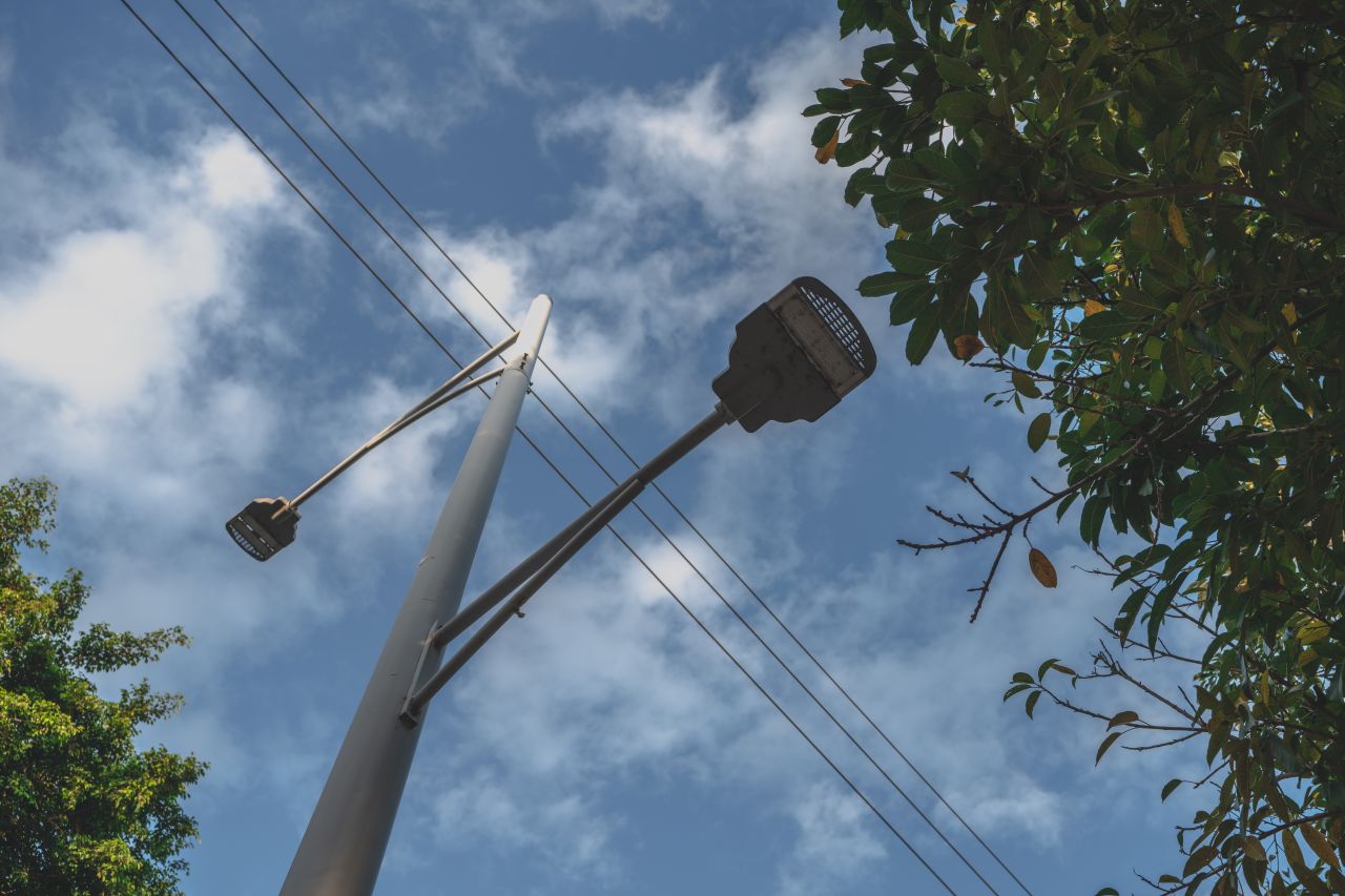 无聊的祥龙一游 无聊的祥龙一游