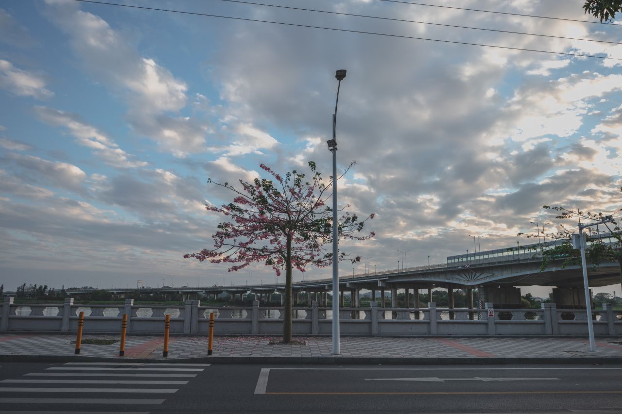 无聊的祥龙一游 无聊的祥龙一游