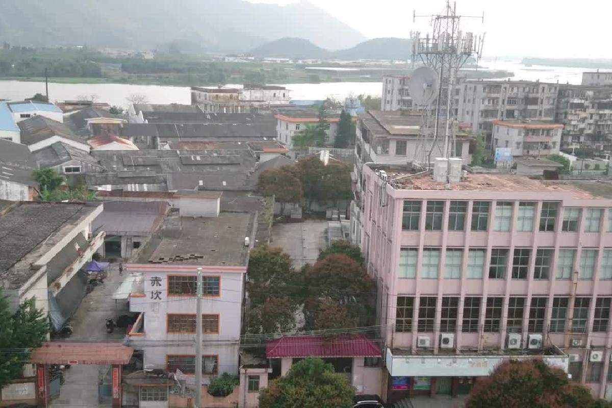 赤坎农行楼顶风光